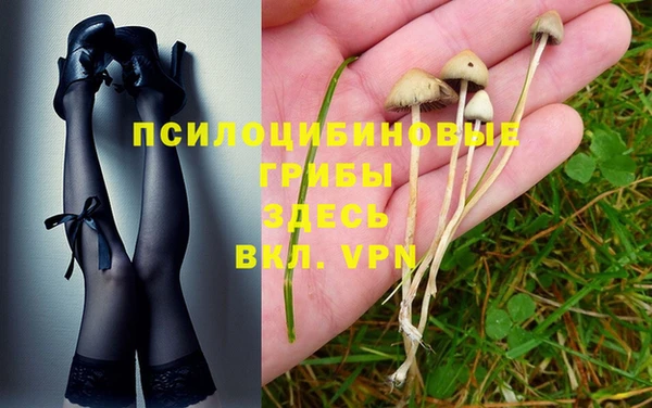 трава Алзамай