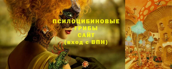 спиды Алексеевка