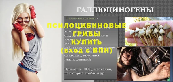 спиды Алексеевка