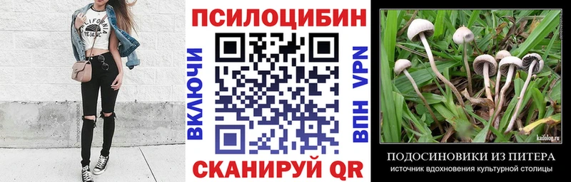 Галлюциногенные грибы Cubensis Зарайск